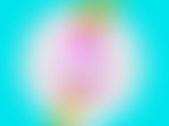 FROM CUSTOMER ONBOARDING TO PROFESSIONAL SERVICES  