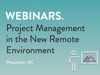 PROJECT MANAGEMENT IN THE REMOTE WORLD