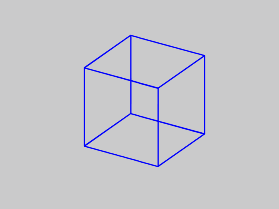 rotating necker cube.gif