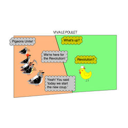 Vive Le Poulet (1/3)