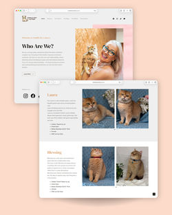 vanilla_website_1