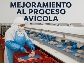 Mejoramiento del Proceso Avícola: Cómo la Digitalización y el Control InteligenteAumentan la Rentabilidad