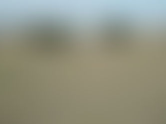 An Easter Message from Bishop Yehiel Curry