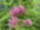 IMG_9870.jpeg