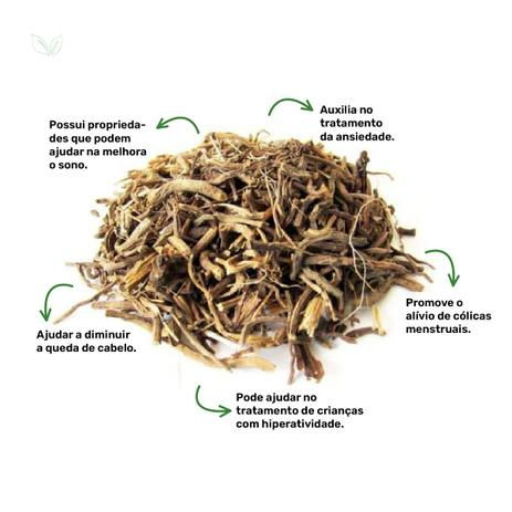 Chá de valeriana. Benefícios. Chá de Valeriana - Valeriana officinalis - 50g - Rocha Saúde