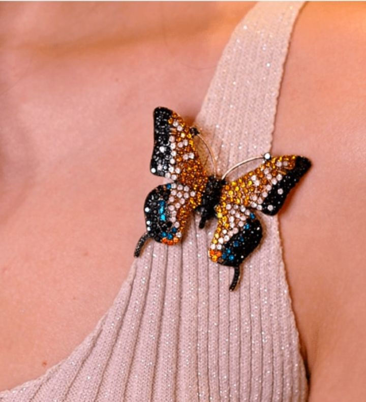 Broche borboleta. Broche Strass.