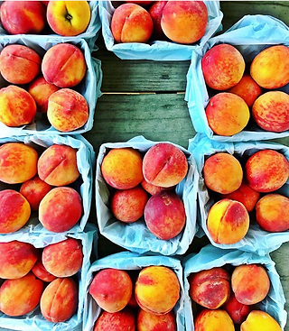 Fresh Farmer's Market finds