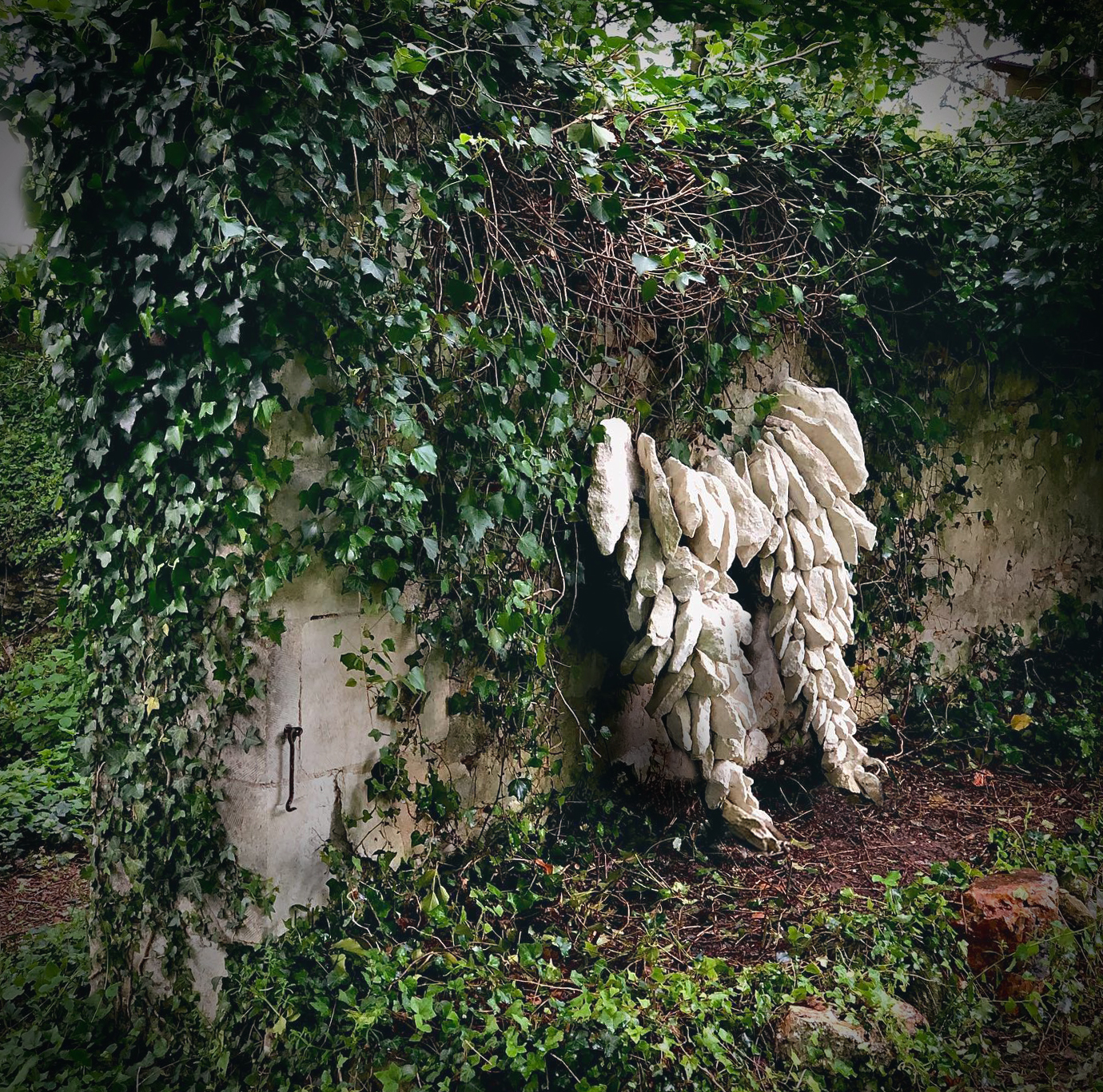 Les Ailes