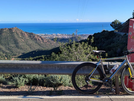 Road Bike vs Gravel Bike vs Triathlon Bike: Which One Should You Actually Buy?