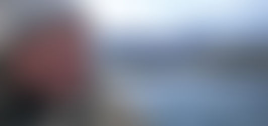 Sobre "La pasión erótica", de Ercole Lissardi, J. P. Bertazza para Radar de Página 12