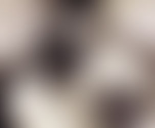 Ana Grynbaum – El fantasma de la vejez en la literatura uruguaya del Siglo XX. 2) “Bienvenido, Bob”