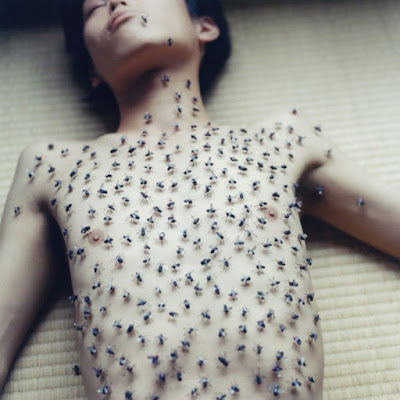 Ana Grynbaum – "Utatane", fotolibro de Rinko Kawauchi
