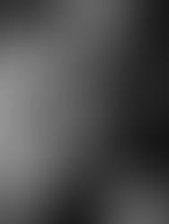 Ercole Lissardi - El descubrimiento del alma (Sobre "El silencio" de Bergman para Radar de Página 12