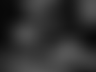 Dashiell Hammett X 2 - Ana Grynbaum, Ercole Lissardi