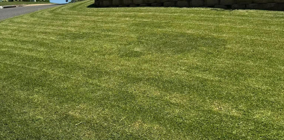 Rockhampton Lawn Care