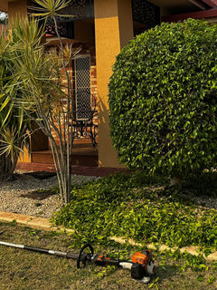 Hedge Trimming Rockhampton