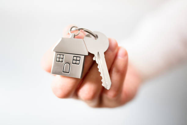 Looking for a home?