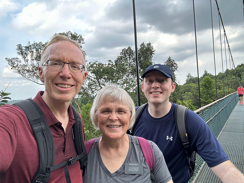 Treetop Walk