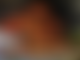 Zone Conference, Transfers, and ramping up to Chinese New Year