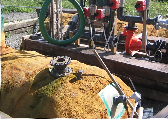 Test plant.jpg