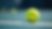 US Open 2026 og Davis Cup Trondheim 2026: Spenning og Drama i Norske Tennisnyheter 07 September