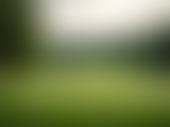 Morgenrapport om golf 12.08.2026 – Alt du må vite før FedEx St. Jude Championship