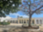 Praça arborizada em Cuba: prédios coloniais, bancos e árvores floridas