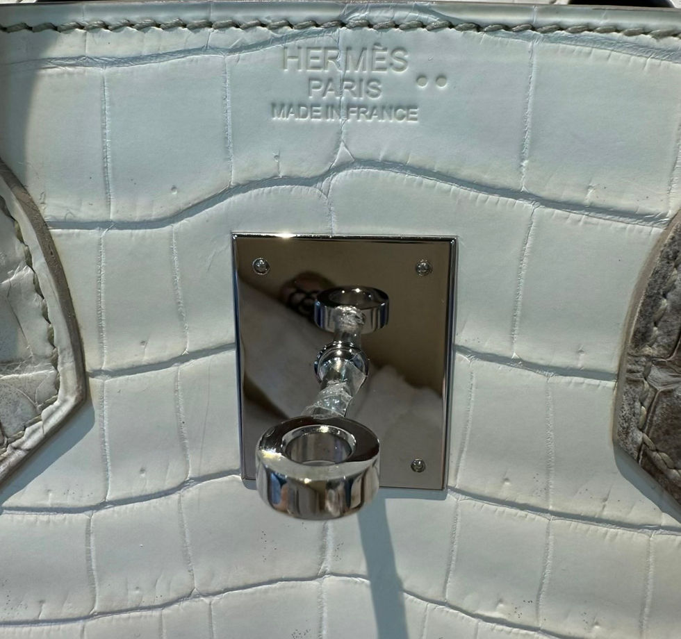 Thumbnail: Hermes Matte Niloticus Himalayan Birkin 30 