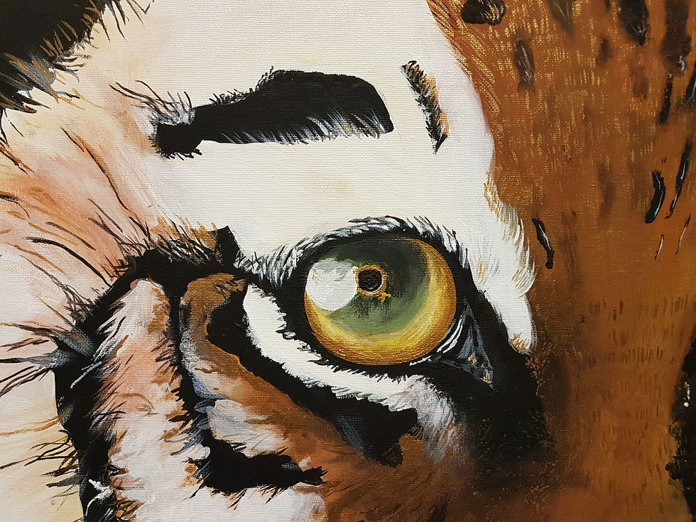 Thumbnail: Eye of the Tiger