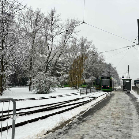 POZNAŃ WALCZY Z ZIMĄ! SPRAWDŹ BIEŻĄCE UTRUDNIENIA!