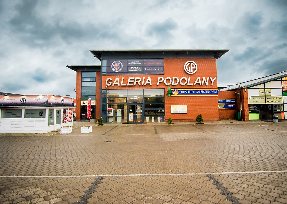 Galeria na Podolanach w Poznaniu, fot. Galeria Podolany/ FB