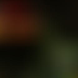 ŚWIĄTECZNA BIMBA WRACA! ZNAMY JEJ TRASĘ