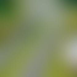 RUSZYŁ PRZETARG DLA S11 UJŚCIE - OBORNIKI!