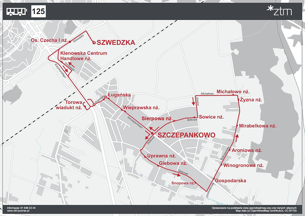 Rozkład jazdy minibusa, fot. ZTM