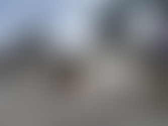 JAPOŃSKA MAŁPKA NA OGRODZENIU STAREGO ZOO. GRAFFITI WYWOŁAŁO DYSKUSJĘ