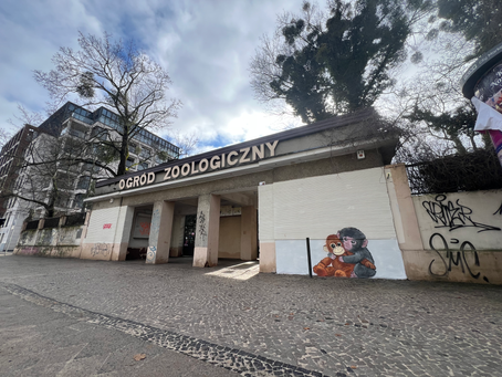 JAPOŃSKA MAŁPKA NA OGRODZENIU STAREGO ZOO. GRAFFITI WYWOŁAŁO DYSKUSJĘ