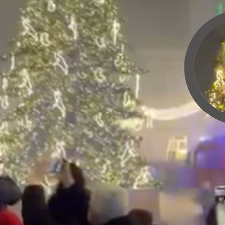 PALIŁA SIĘ CHOINKA W POZNANIU. INTENSYWNA NOC DLA STRAŻAKÓW