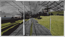 kelp view nets_594x345