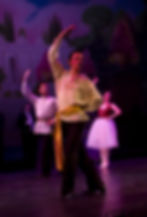 Die Fledermaus 2013