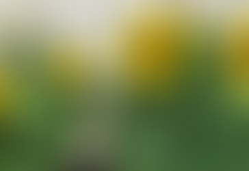 Doing the right thing at the right time, especially when you don't think anyone is watching