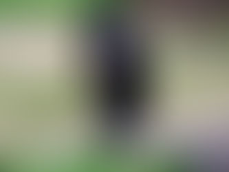 Integrity is about doing what's right when no one is watching