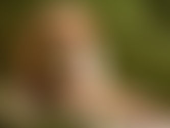 How Brightly Do You Shine?