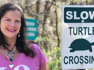 Healing Pets Remotely - Appreciating Wildlife