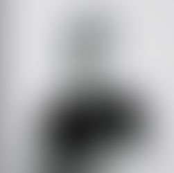 Handicap cognitif et mental dans le milieu professionnel