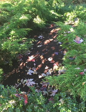 close up of a completed micro modular peat system