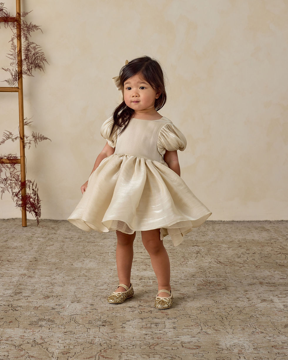 NORALEE SOFIA DRESS 2y ベビードレス　リングガール Noralee Sofia Dress – Ani+Mo