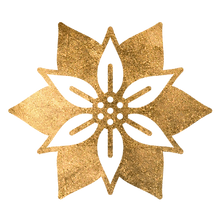 Poinsettia.png