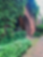 Ramsey Hill Alley.png