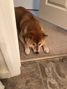 IMG_3296.jpeg