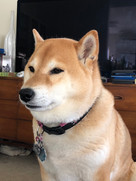 IMG_3276.jpeg